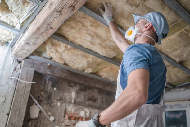 Best Insulation Materials and Products in Dunkirk, NY