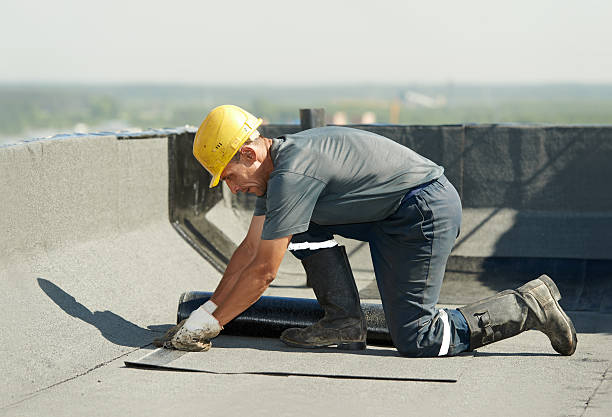 Best Insulation Maintenance and Repair in Dunkirk, NY