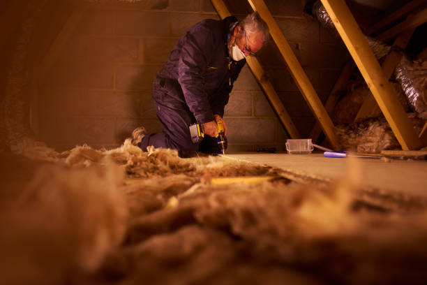 Best Insulation Installation Services in Dunkirk, NY